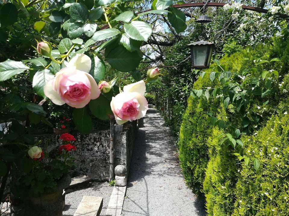 Bed and Breakfast Residenza Dei Ricci Chiusi Exterior foto